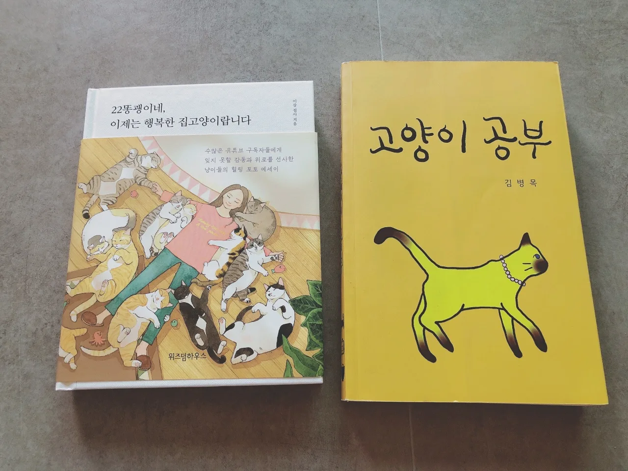 고양이 도서 :)