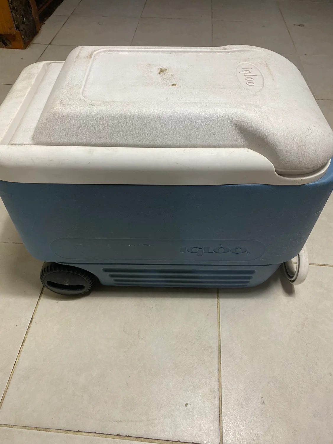 이글루 아이스박스 나눔합니다.