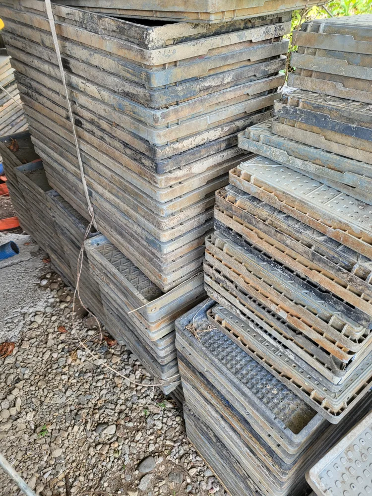 벼 모판팝니다.(약300개)