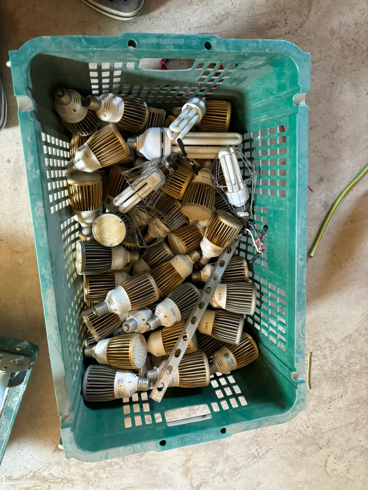 LED전구 무료나뭄