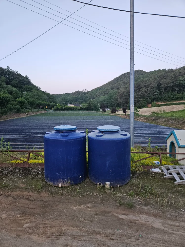 600리터 중고 물통 팝니다. 개당 3만원