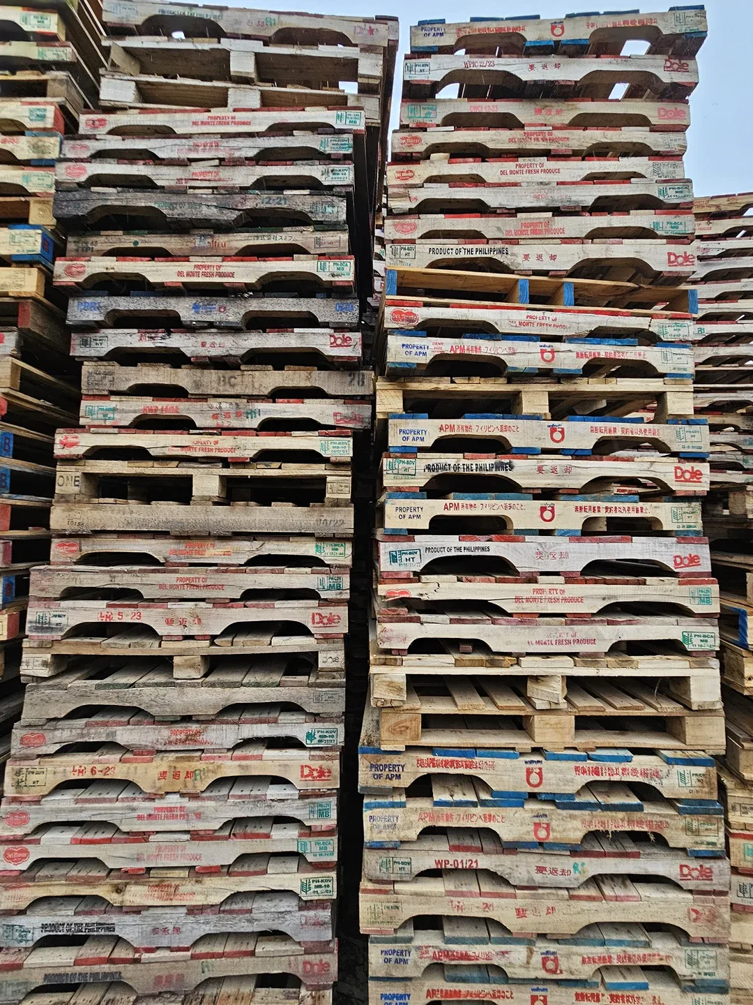 중고 나무 파렛트 팝니다