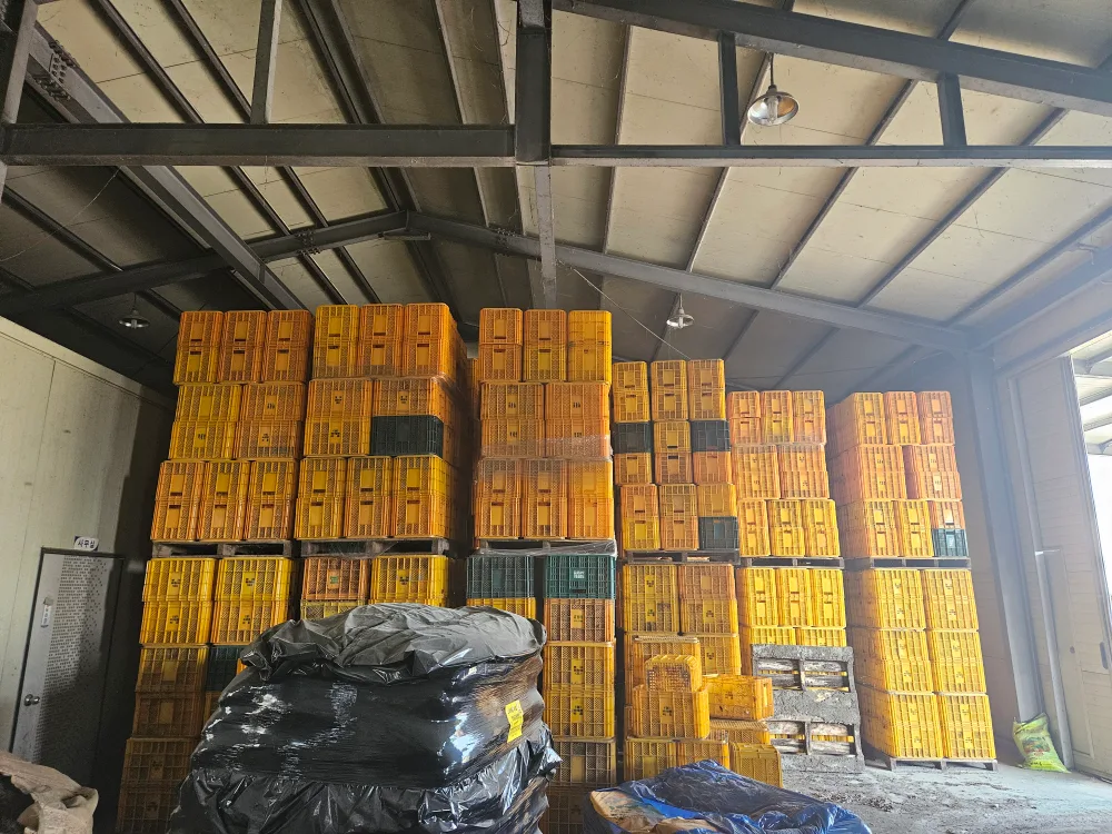 노랑콘티박스(내쇼날 정품) 중고 판매합니다