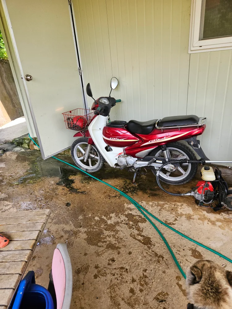 오토바이팔아요