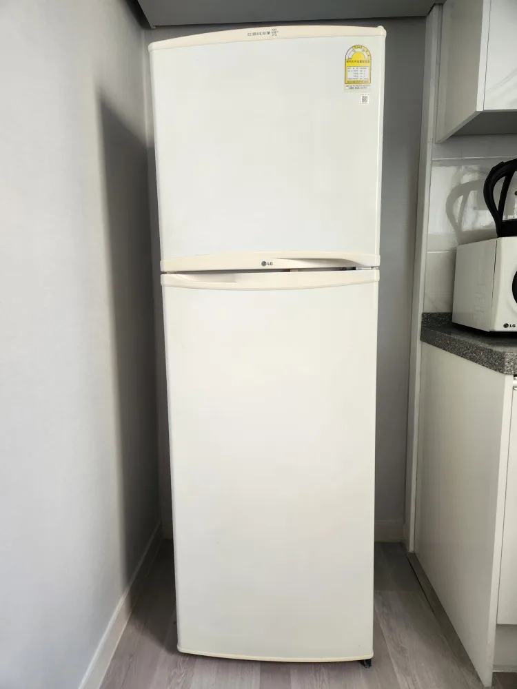 LG R-B245GB 237리터 냉장고