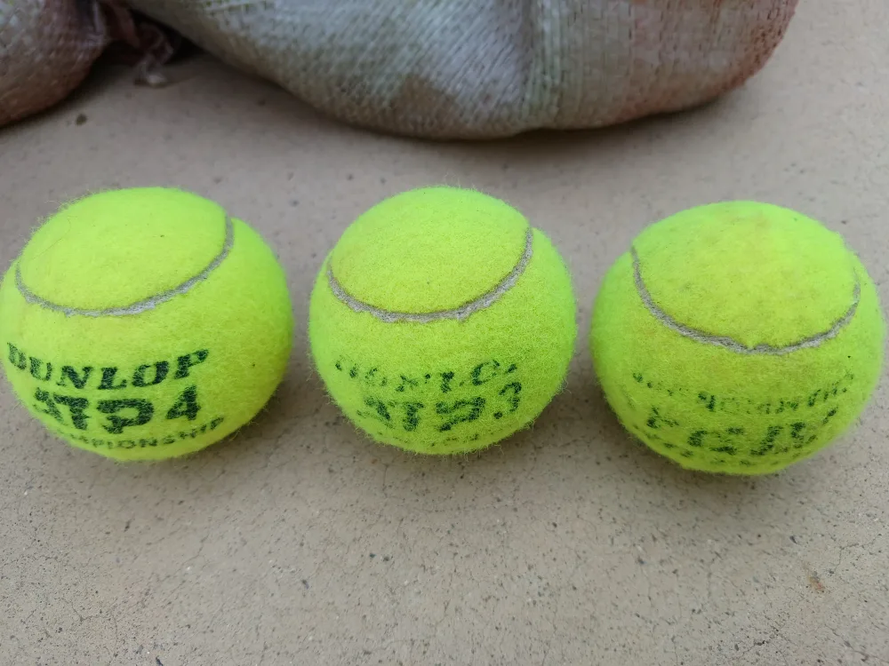 중고 테니스공 300개 팝니다