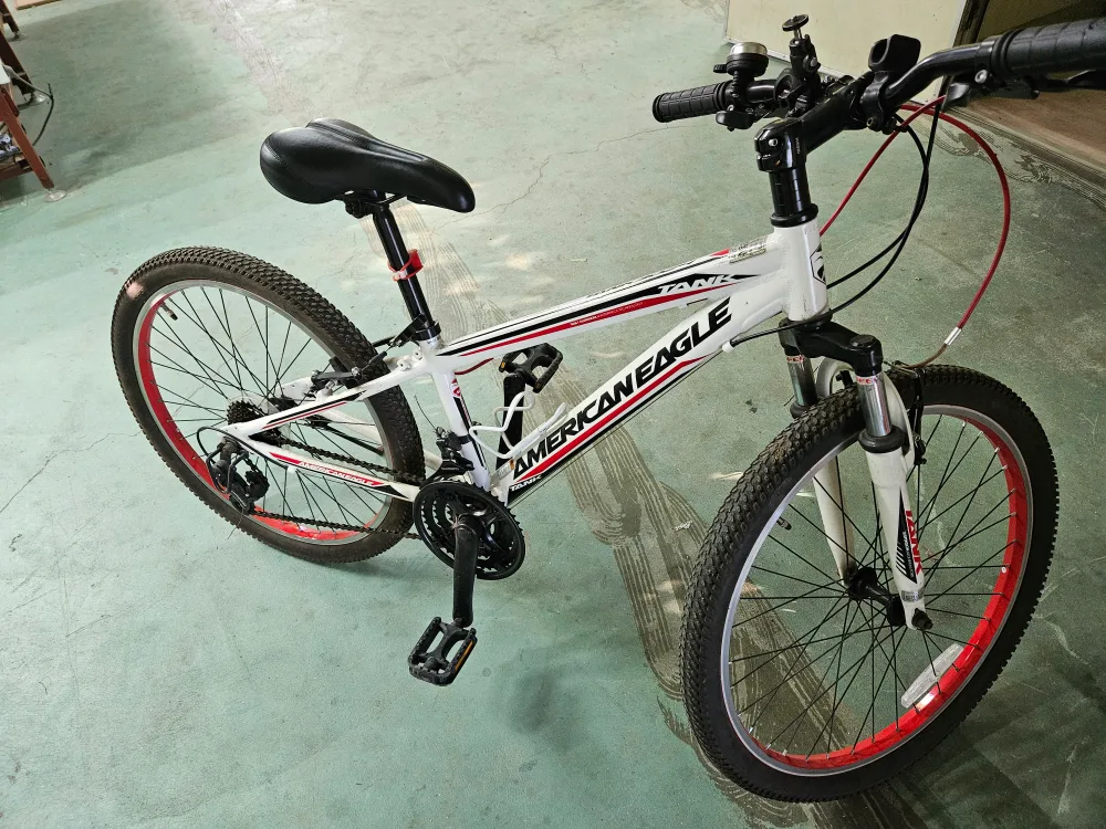 아메리칸 이글 자전거  중고생용