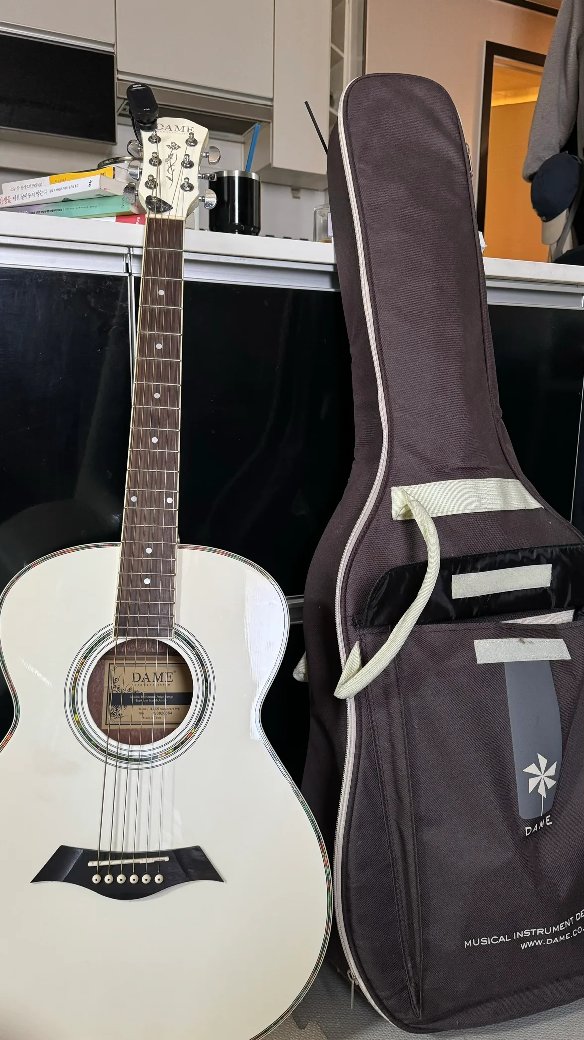 중고 / 데임 기타 dame