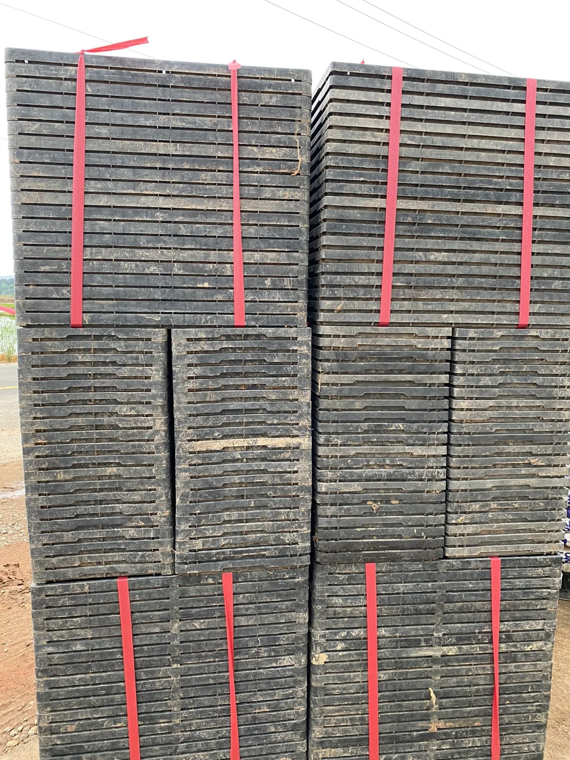 중고 모판 판매합니다