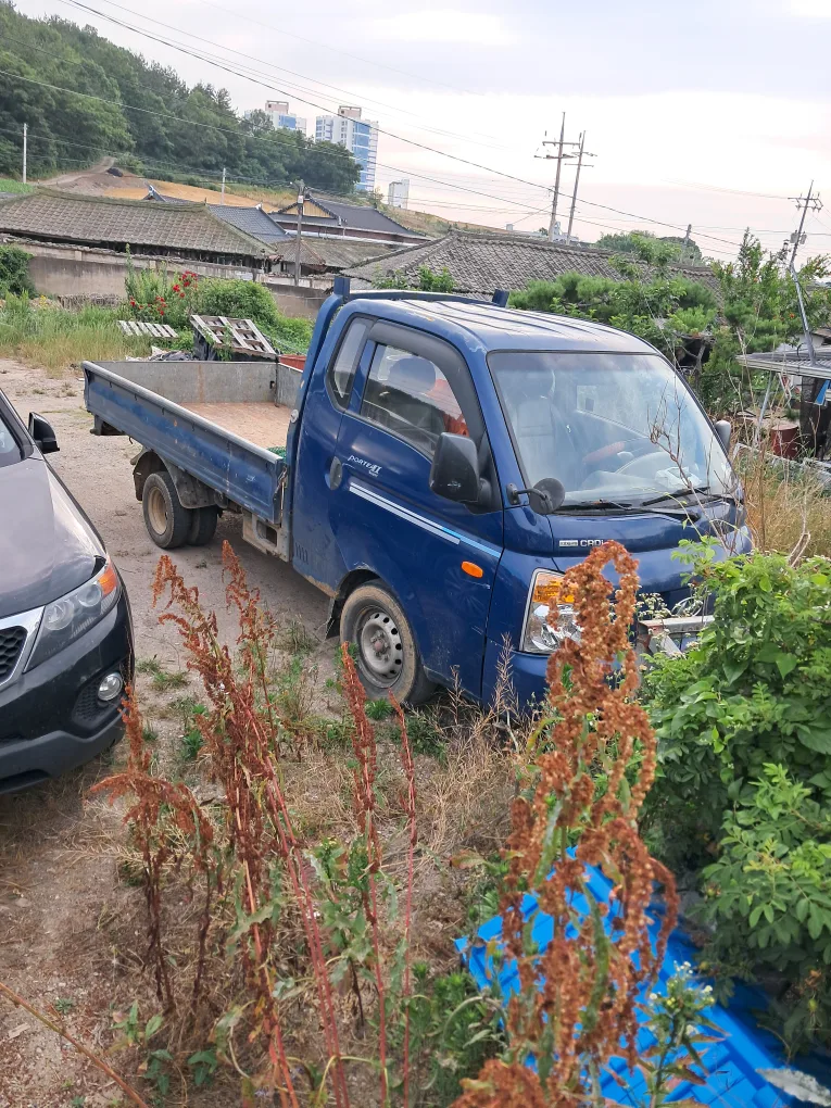 포터 중고자동차