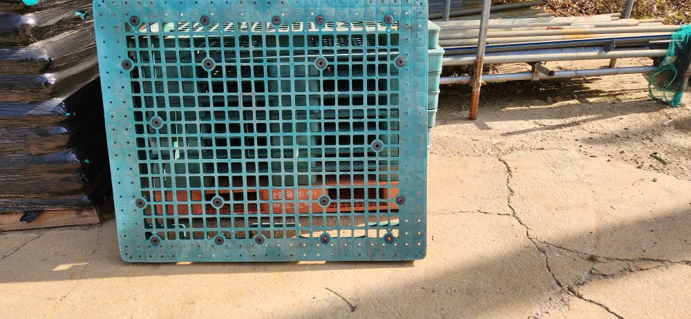 중고파레트 팝니다