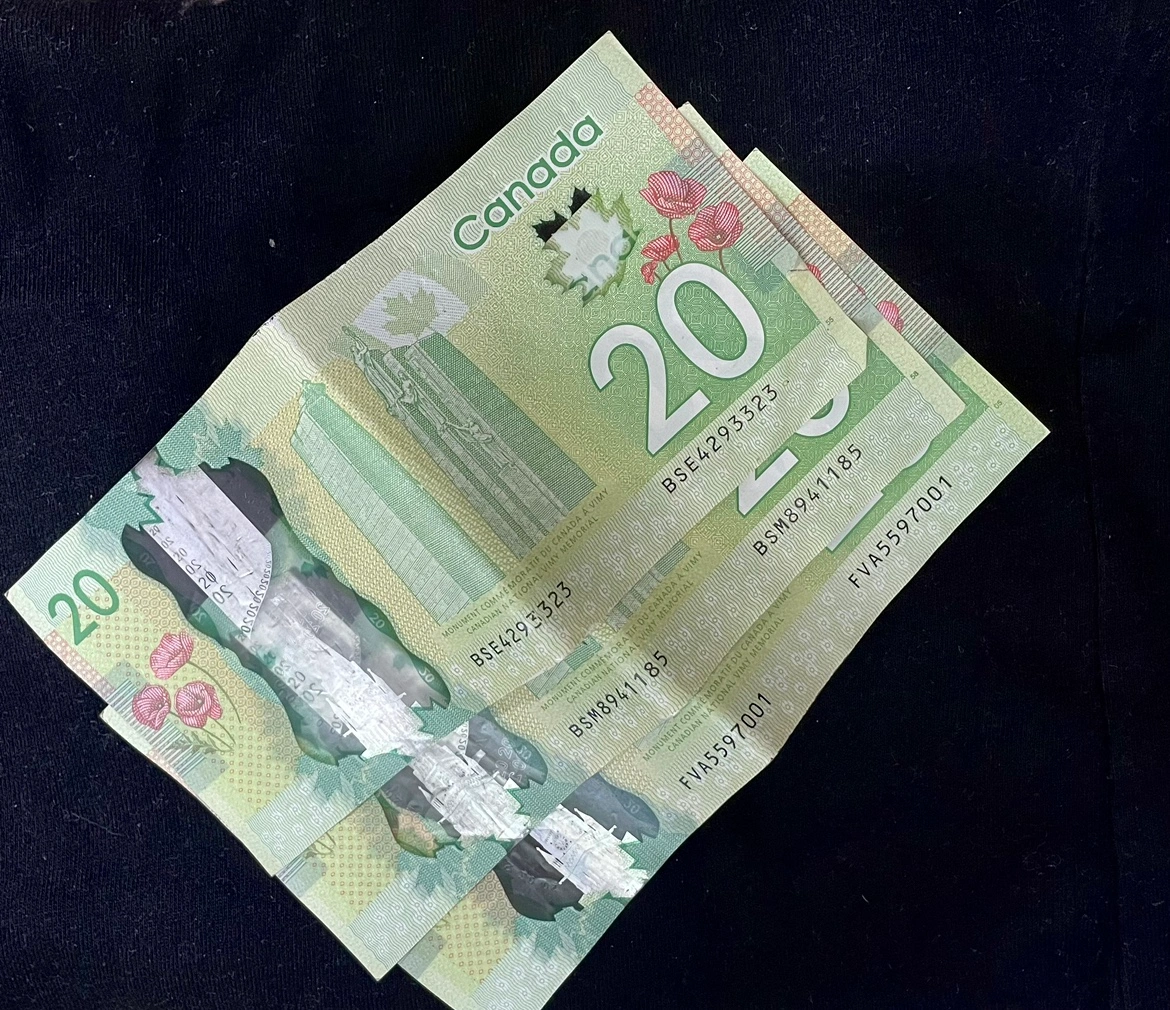 캐나다 달러 60달러 (네이버 환율 거래) | 기타 중고물품 | 당근 중고거래