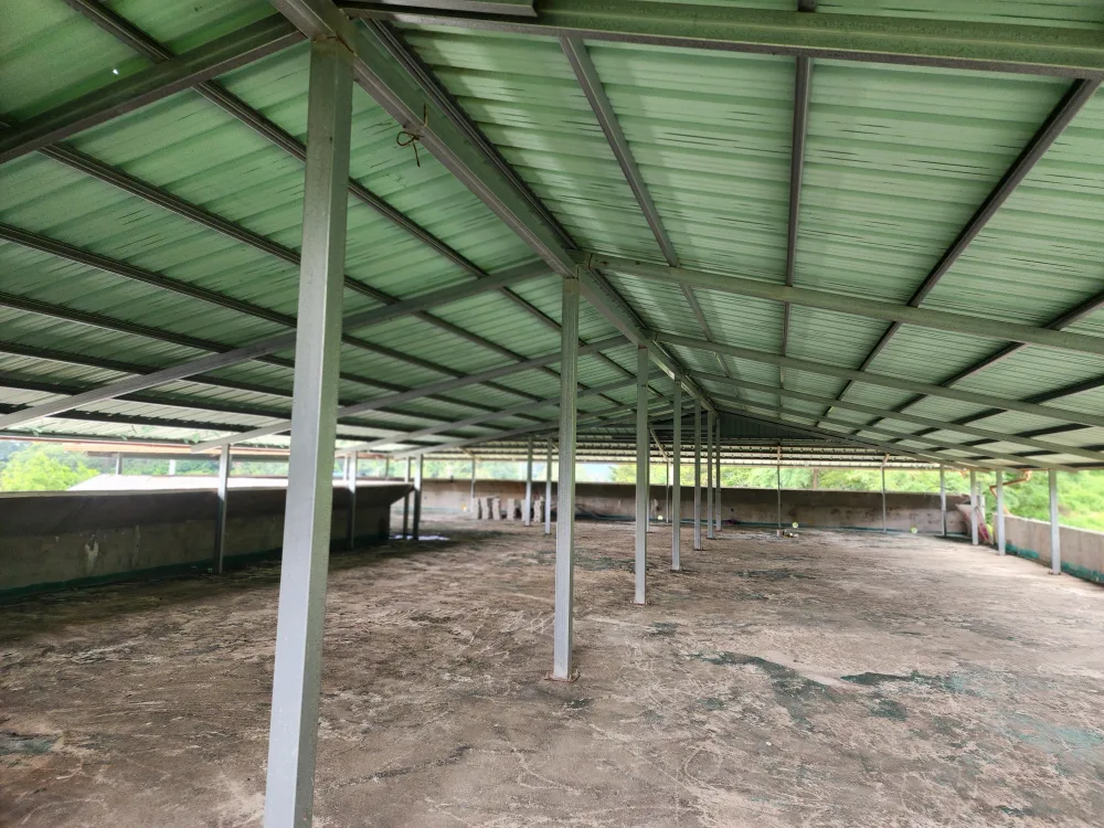 칼라강판지붕 중고 팝니다. 100평