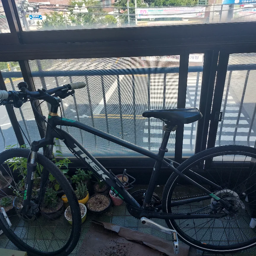 트랙 자전거 듀얼스포츠2