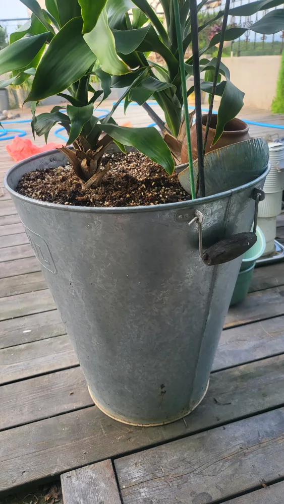 인테리어화분, 양철화분