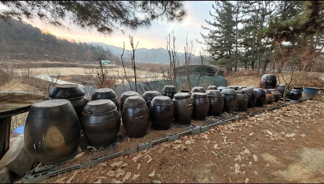 중고 항아리  판매