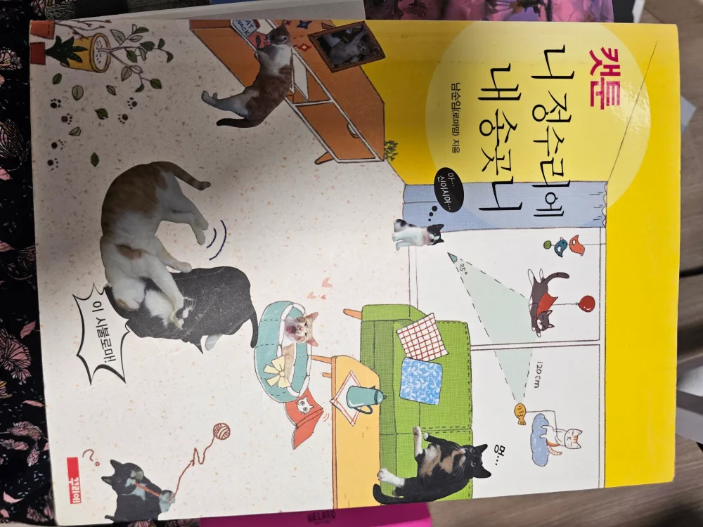 여러가지 깨끗한 중고책 저렴하게 팔아요.