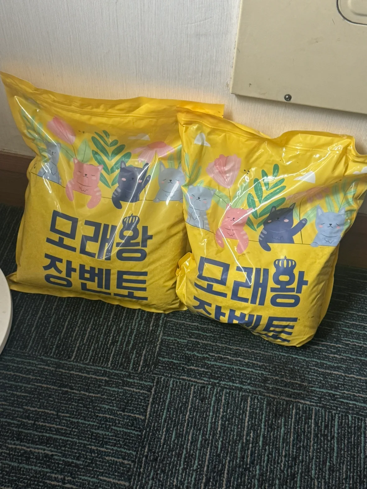 고양이 모래 나눔