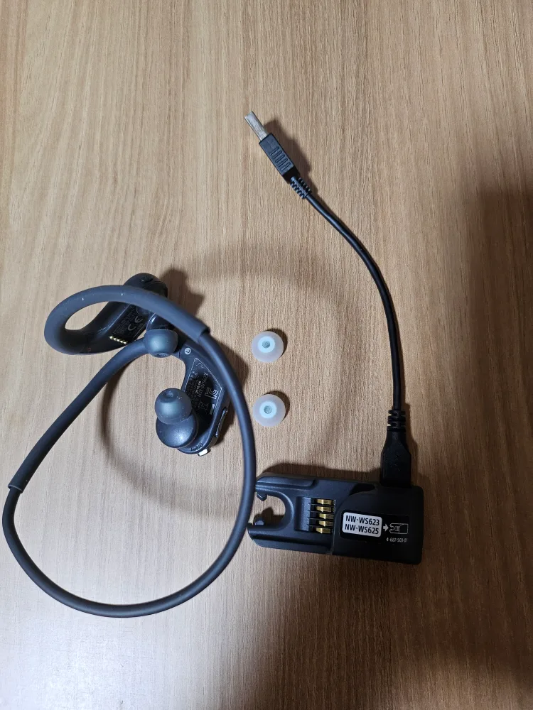 소니 방수 블루투스 이어폰 NW-WS623