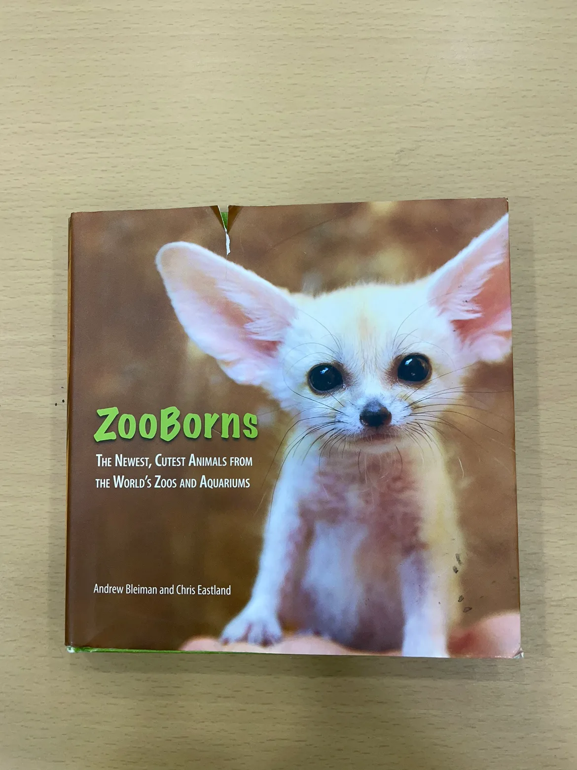 영어 원서 책 “ZooBorns” Andrew Bleiman and Chris Eastland- 정품 중고 1권
