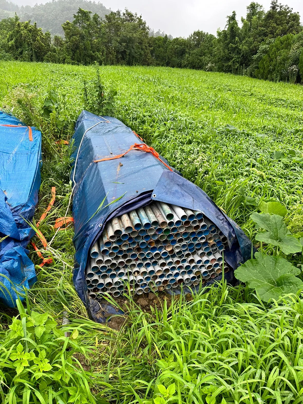 중고 비계 파이프 4M B~C급