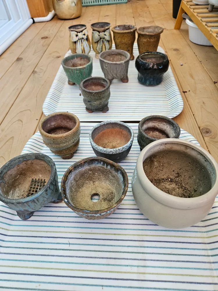 중고 다육 화분 총갯수:14개