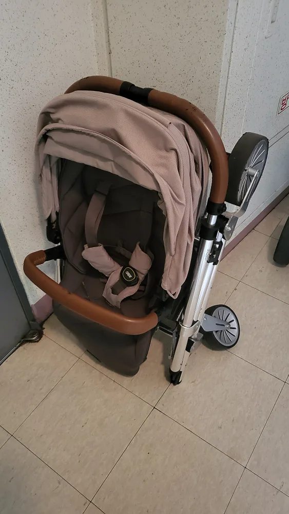 마마앤 파파스 어보 중고