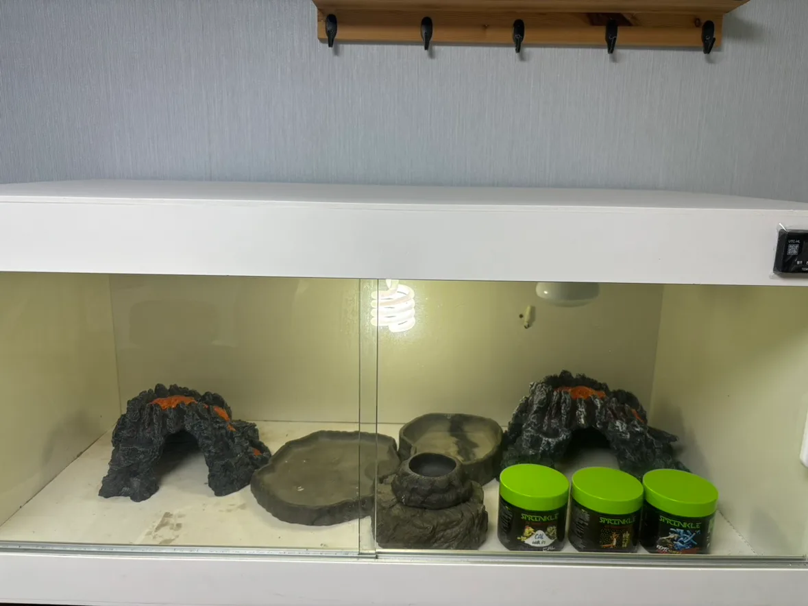 중고 파충류 용품 판매 합니다