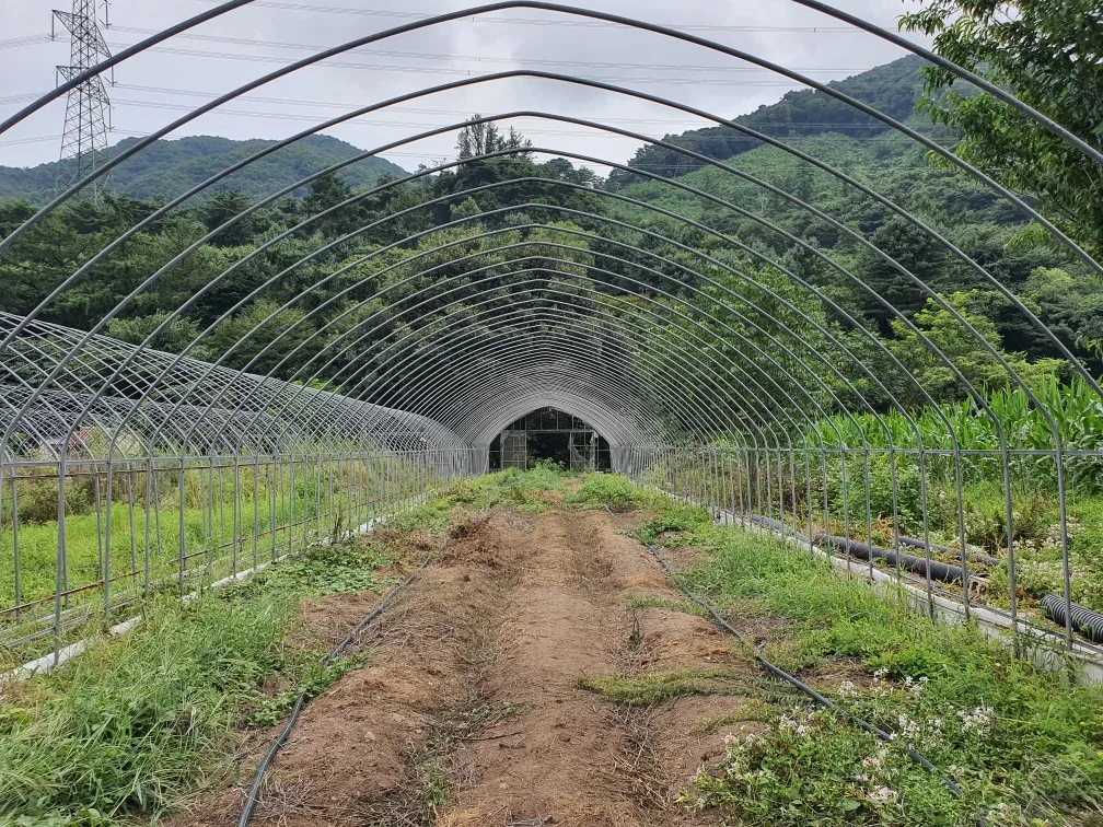 하우스중고파이프