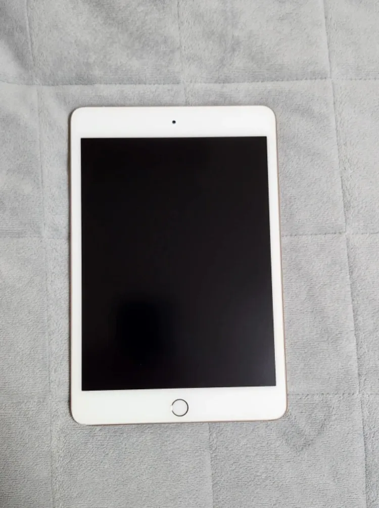 아이패드 미니5 256GB 셀룰러 풀박스