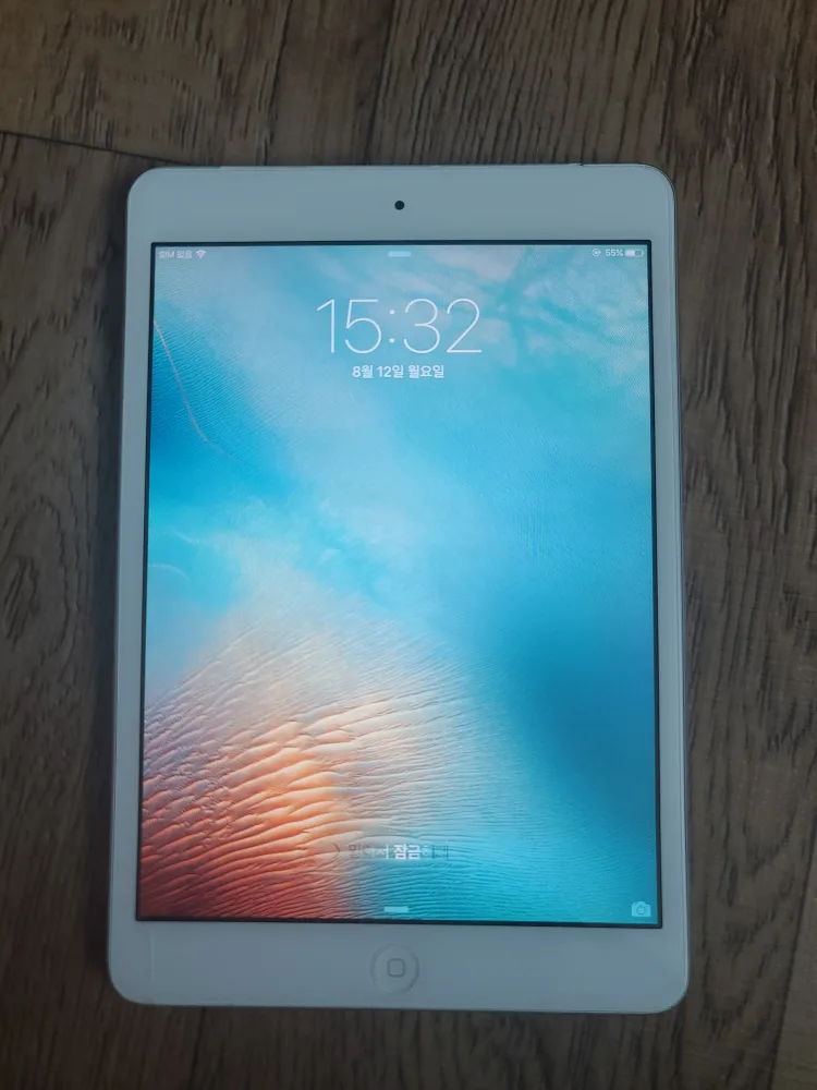 아이패드 미니1 팝니다
