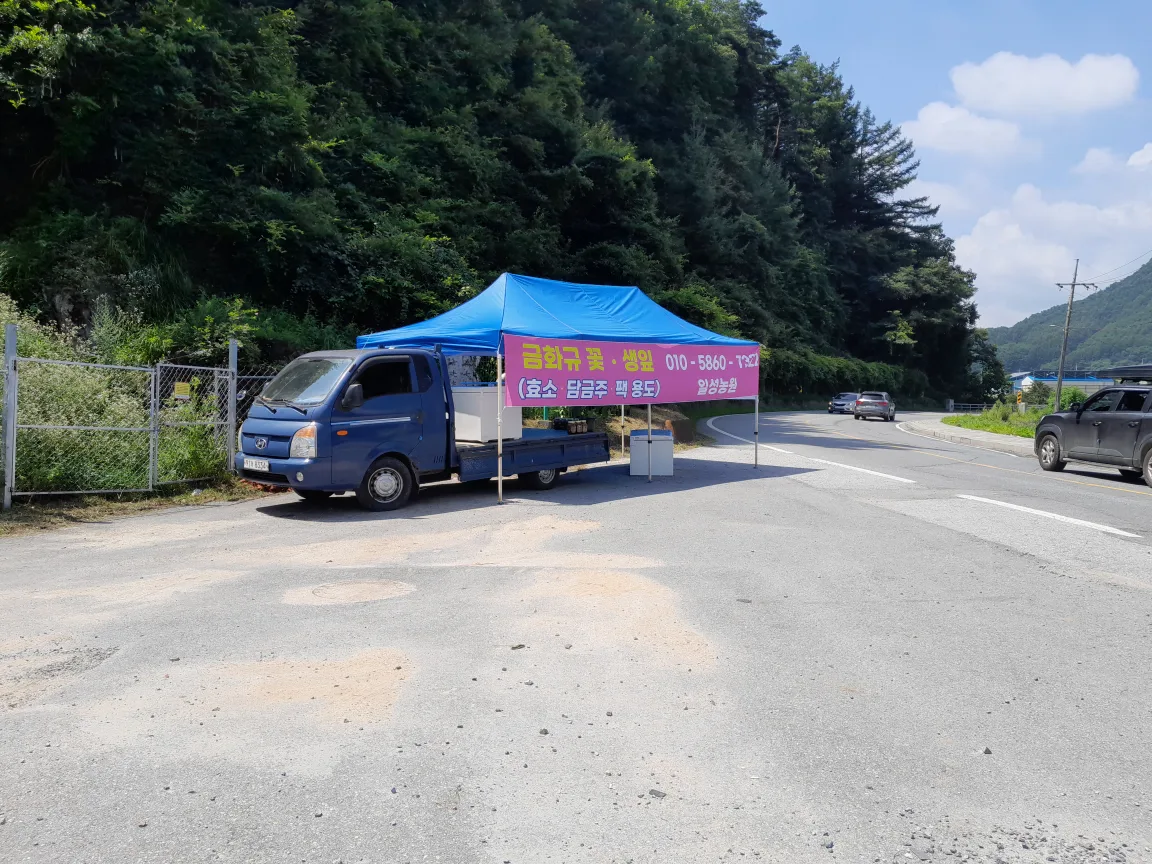 캐노피 천막 3M6m