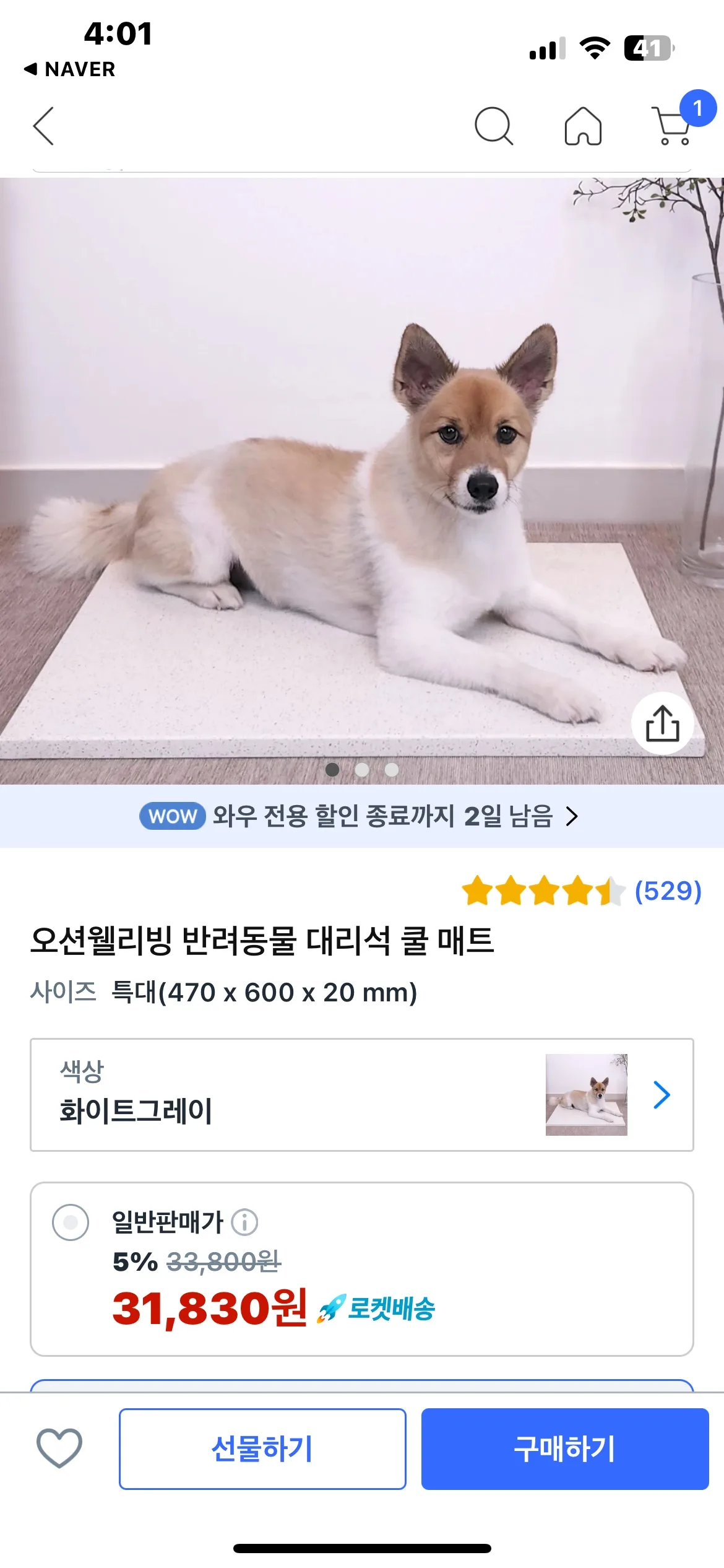 강아지대리석