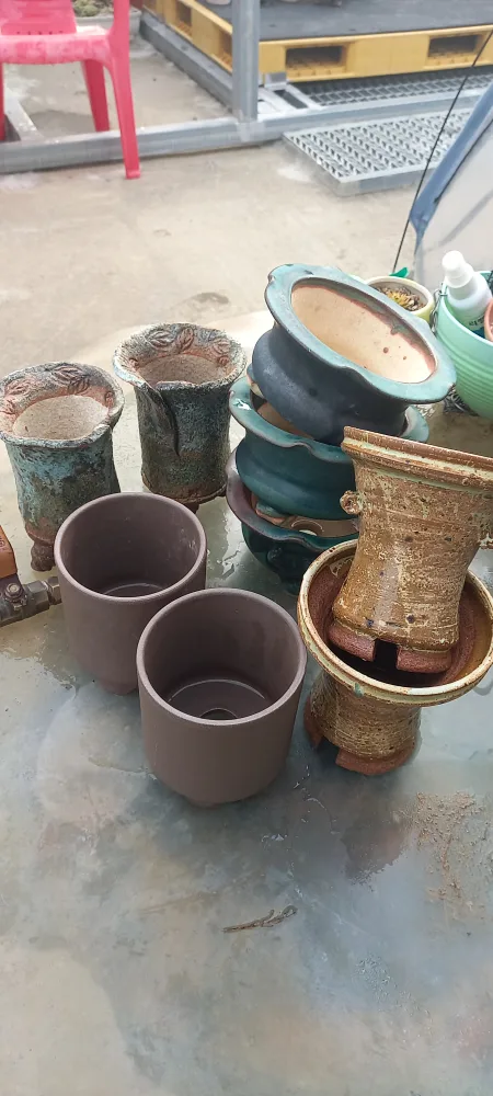 새화분 중고분 총9개 루디아분 토어분 ~~