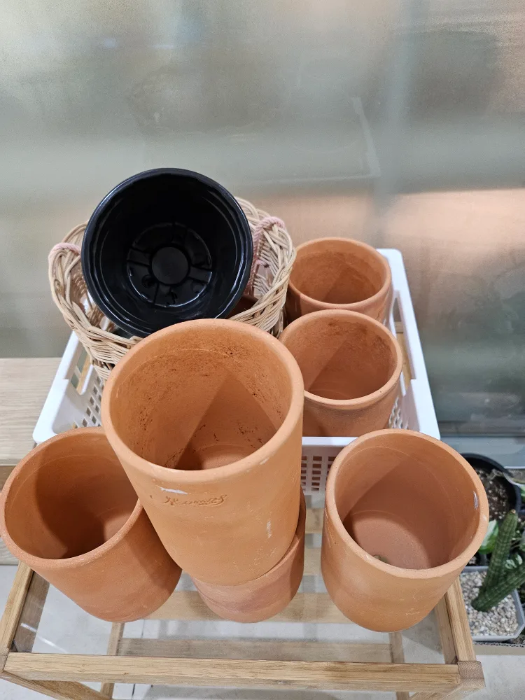 중고 화분 일괄