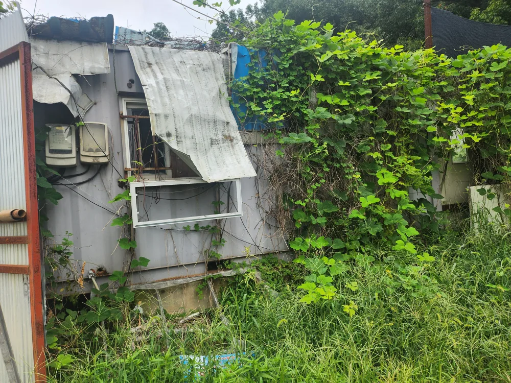 컨테이너   중고