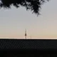 뿅뿅배