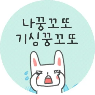 모모store
