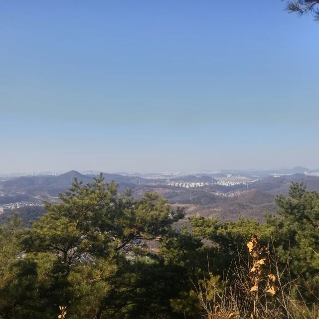 양파링
