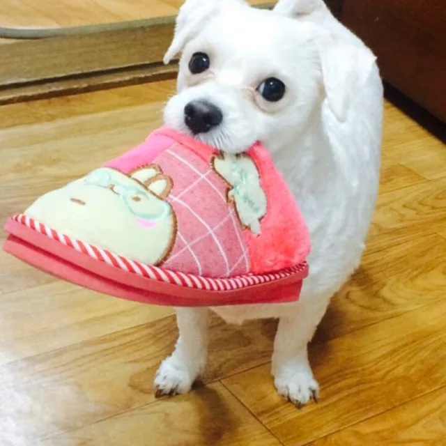 이슬