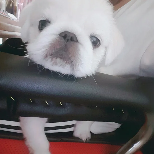 겨울이오면