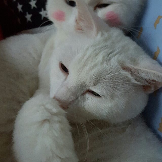 배가고파요