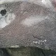 큰엉