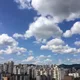 코마