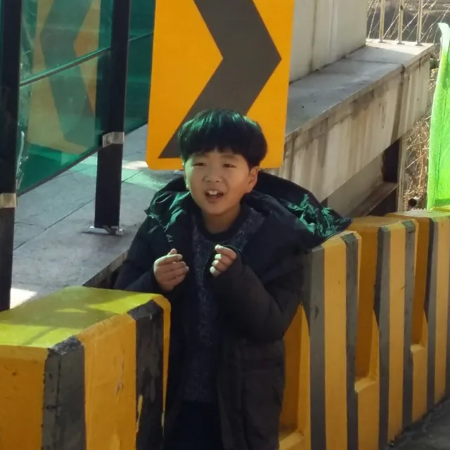 솔내