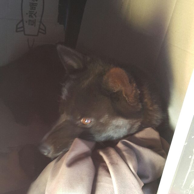 댱근