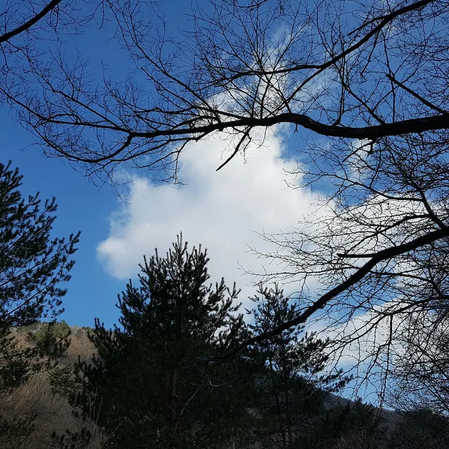 자유로