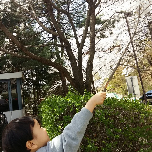 귀염둥이들맘