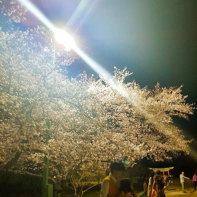 벨루어
