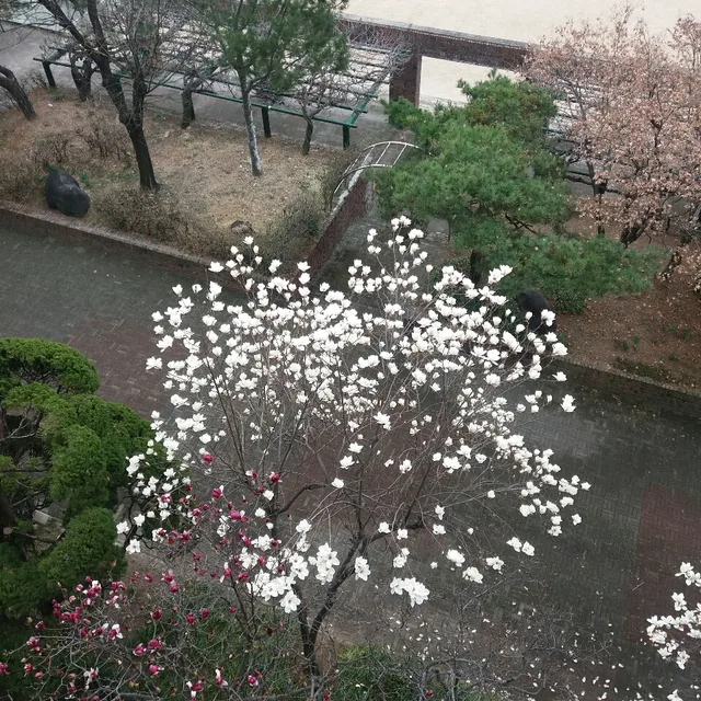 지구별여행자